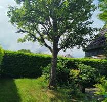Schöne 3 Zimmer Wohnung mit Gartenanteil in Bad Herrenalb Neusatz