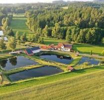 zu verkaufen - 780.000,00 EUR Kaufpreis, in Plößberg (PLZ: 95703)