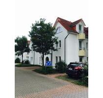 Helle 3-Zimmer-Wohnung mit Balkon - Küche inklusive - Oldenburg Drielaker-Moor
