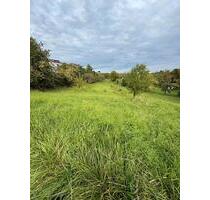 Gleiszellen-Gleishorbach - Streuobstwiese zu verpachten - Rhodt unter Rietburg