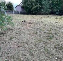 Baugrundstück, Gartengrundstück - Neusorg
