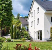 helle DG - 60 qm - 2,5 ZKB Wohnung gehobene Ausstattung - mit EBK - Lindenfels