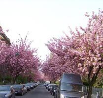 Außergewöhnliche Wohnung in bester grüner 1-A-Lage Düsseldorfs