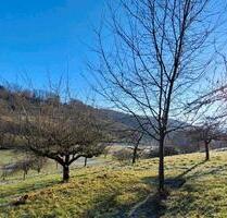 Schönes Gartengrundstück in Weinstadt-Schnait zu verpachten - Waiblingen