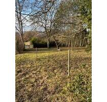 Pachtgarten in Abstatt mit Häuschen, gemauerter Grill, umzäunt - Ludwigsburg Eglosheim