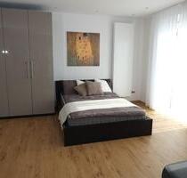 Hochwertig ausgestattetes 1-Zimmer App. Gießen (Petersweiher)