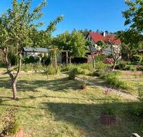 Kleingarten - 1.000,00 EUR Kaltmiete, ca.  0,00 m² in Dippoldiswalde (PLZ: 01744)