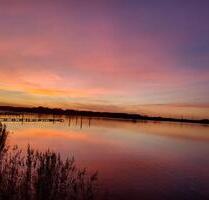 Ferienhaus mit direktem Schleizugang - Untervermietung möglich - Maasholm