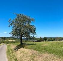 Wunderschöne WieseFreizeitgrundstück in Schorndorf zu verpachten