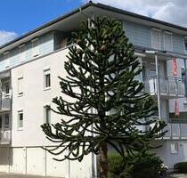 Haiger - Schöne Stadtwohnung mit Südbalkon und Aufzug