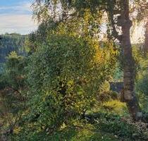 Frisch renovierte Zweizimmerwohnung in Lüdenscheid Rathmecke