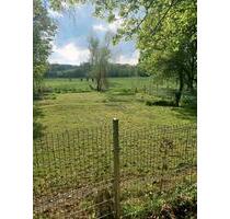 Garten FreizeitErholungsgrundstückEigentumsland - Leezen