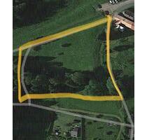 Wiesengrundstück - 53.000,00 EUR Kaltmiete, ca.  0,00 m² in Schleusingen (PLZ: 98553)