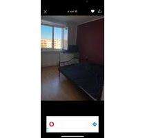 sonnige, helle Wohnung ab sofort in Greifswald zu vermieten