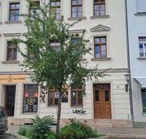 Single Wohnung - 250,00 EUR Kaltmiete, in Wurzen (PLZ: 04808)