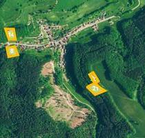 AUKTION: Forst-, Landwirtschafts- und Verkehrsflächen - MEA - Schmalkalden
