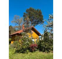Ferienhaus + 2x Gartenhaus Blockbohlen Baugrundstück Seenähe - Heidesee