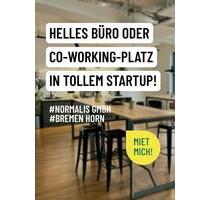 Helle Büros o. Co-Working-Platz in nettem Startup in Bremen Horn