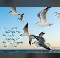 Ferienwohnung Kühlungsborn - 60,00 EUR Kaltmiete, in Hemmoor (PLZ: 21745)