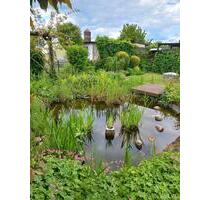 Kleingarten - 3.000,00&nbsp;EUR Kaltmiete, ca.&nbsp; 0,00&nbsp;m&sup2; in Schkeuditz (PLZ: 04435)