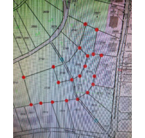 Wald Forst in Ramberg - 3.700,00 EUR Kaltmiete, ca.  0,00 m² in Albersweiler (PLZ: 76857)