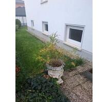 Einliegerwohnung - 360,00 EUR Kaltmiete, in Mehlingen (PLZ: 67678)