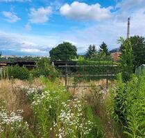 Kleingarten zuverpachten - 300,00 EUR Kaltmiete, ca.  0,00 m² in Plauen (PLZ: 08523)