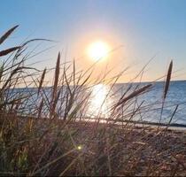 Ferienwohnung Fehmarn Ostsee bis 5 Personen - Norderstedt Friedrichsgabe