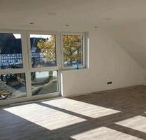 Helle 4 Zimmer Wohnung mit 150qm und Einbauküche zu vermieten - Bad Driburg