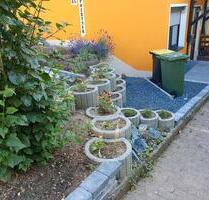 Wohnung zu vermieten In Rossach - Großheirath