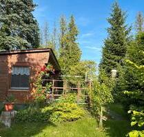 Pachtgarten ca. 400m2 bei Seeligstadt - Großharthau