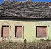 Doppelhaushälfte in der Schorfheide - Zehdenick