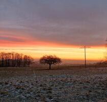 Ferienwohnung auf Pferdehof - 90,00&nbsp;EUR Kaltmiete, in Sankt Katharinen (PLZ: 53562)