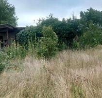 Dornröschengarten abzugeben - 450,00 EUR Kaltmiete, ca.  0,00 m² in Plattenburg (PLZ: 19339)