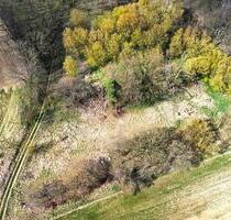 0,6 ha Ackerfläche - ehemalige Deponie - Seelow