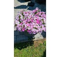 4 Zimmerwohnung - 800,00&nbsp;EUR Kaltmiete, ca.&nbsp; 120,00&nbsp;m&sup2; in Geislingen an der Steige (PLZ: 73312)