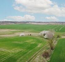 0,2 ha Ackerfläche - 1.000,00 EUR Kaltmiete, ca.  0,00 m² in Löwenberger Land (PLZ: 16775)
