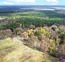 0,67 ha Waldgrundstück - ehemalige Deponie - Steinhöfel