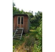Bauwagen Tiny House Mini-Haus Gartenhäuschen - Bad Münstereifel