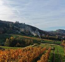 Reben mit Burgblick - 4.980,00 EUR Kaltmiete, in Bühl (PLZ: 77815)