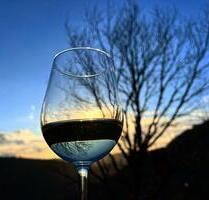 Urlaub im Weindorf an der Mosel - Bruttig-Fankel