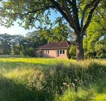 Freistehendes Haus, idyllische Lage, Backemoor, Leer Ostfriesland - Rhauderfehn