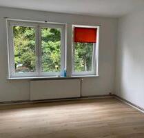 Kleine schöne 3-zimmer Wohnung in Wildemann - Clausthal-Zellerfeld