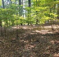 Wald Waldgrundstück - 4,00 EUR Kaltmiete, ca.  0,00 m² in Leinburg (PLZ: 91227)