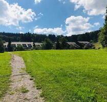 Schöne 1-Zimmer Ferienwohnung in Sasbachwalden-Brandmatt