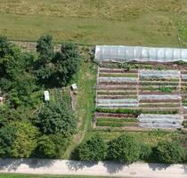 Marktgarten Market garden No-Dig zu verpachten - Germering