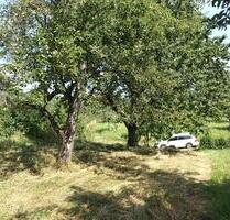 Baumwiese Freizeitgrundstück Garten - Weinstadt