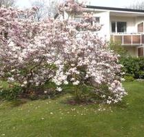 Berlin Grunewald Koenigsallee , möblierte 3-Zimmer Wohnung