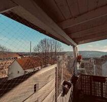 Wunderschöne kleine 3 Raum Wohnung in Stadtmitte zu vermieten - Plauen