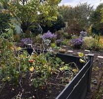 Kleingarten Probstheida - 350 qm, Laube, Strom, WC - Leipzig Mitte